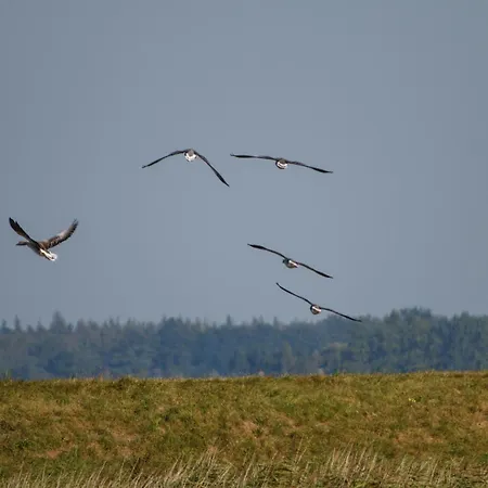 Ruegen-ferienhof 컨트리하우스