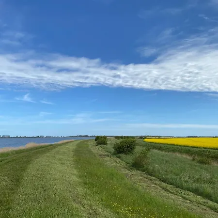 Ruegen-ferienhof 컨트리하우스