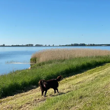 Ruegen-ferienhof 컨트리하우스 Ummanz