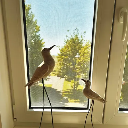 Ruegen-ferienhof Country house *